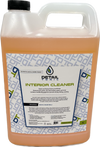 Detail Tonic Interior Cleaner